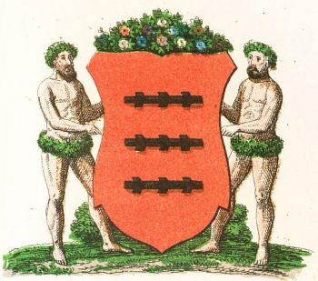 Wappen von Knittelfeld/Coat of arms (crest) of Knittelfeld