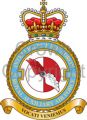 No 7010 (Volunteer Reserve) Intelligence Squadron, Royal Auxiliary Air Force.jpg