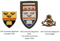 Regiment Universiteit Oranje-Vrystaat (University of Orange Free State Regiment), South African Army.png