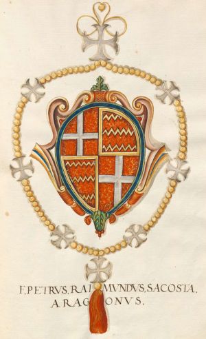 Arms of Pierre Raymond Zacosta