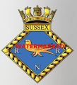 Royal Naval Reserve Sussex, Royal Navy.jpg
