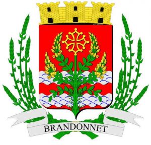 Blason de Brandonnet/Arms (crest) of Brandonnet