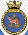 HMS Fawn, Royal Navy.jpg