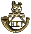 Rand Light Infantry, South African Army2.gif