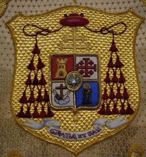 Arms of Carlos Amigo Vallejo