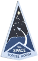 US Space Forces Korea, US Space Force.png