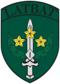 1st Mechanized Infantry Battalion, Latvian Army.png