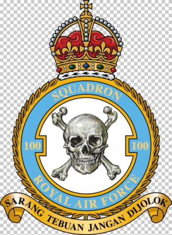 Coat of arms (crest) of No 100 Squadron, Royal Air Force