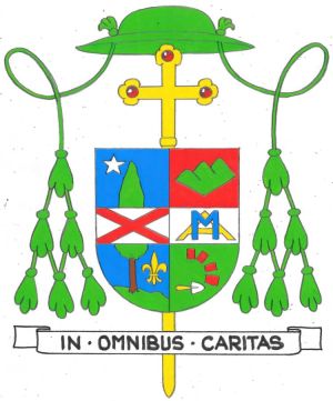 Arms of Justin Bianchini