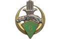 6th Algerian Rifle Regiment, French Army.jpg