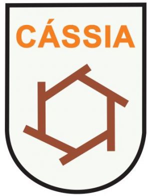 Arms (crest) of Cássia (Minas Gerais)
