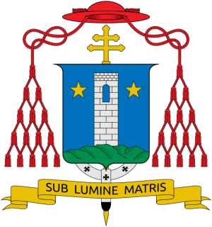 Arms of Edoardo Menichelli