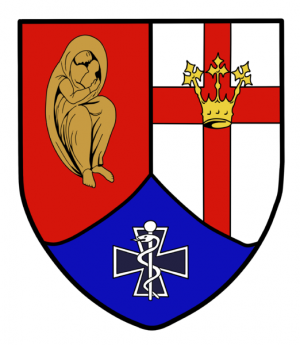 Coat of arms (crest) of the Medical Regiment 2, Germany