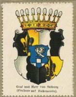 Wappen Graf und Herr von Salburg