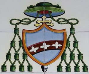 Arms of Salvatore Spinelli