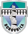 Borovnica.jpg