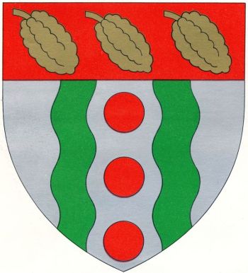 Blason de Oyem/Arms (crest) of Oyem