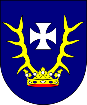 Arms of Dominik Ziči