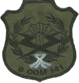 Signal Battalion 141, Argentine Army.png