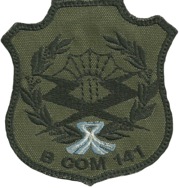 File:Signal Battalion 141, Argentine Army.png