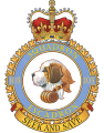 No 103 Squadron, Royal Canadian Air Force.png