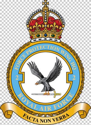 No 2 Force Protection Wing, Royal Air Force2.jpg