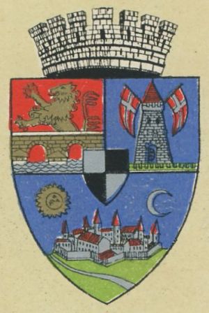 Arms of Timișoara