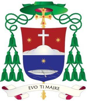 Arms of Ranko Vidović