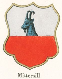 Wappen von Mittersill