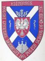 Polish School of Medicine, University of Edinburgh.jpg