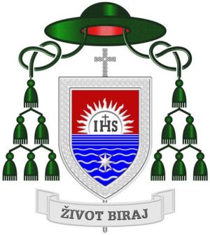 Arms of Valentin Pozaić