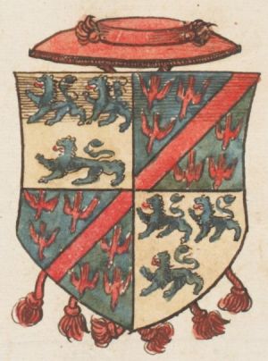 Arms of Pierre d’Ailly