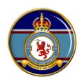 No 23 Service Flying Training School, Royal Air Force.jpg