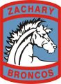 Zachary High School Junior Reserve Officer Training Corps, US Army.jpg