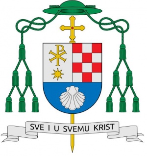 Arms of Tomislav Rogić