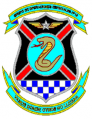 Special Operations Air Group No 10, Air Force of Venezuela.png