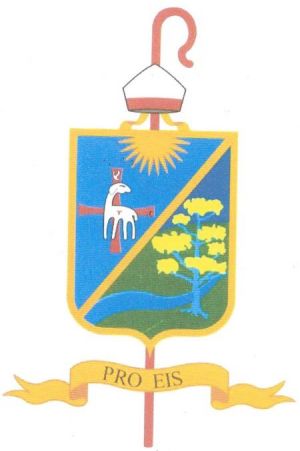Arms of Benjamín Castillo Plascencia