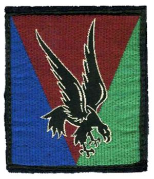 10th Parachute Division, French Army.jpg