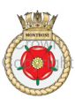 HMS Montrose, Royal Navy.jpg