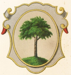 Wappen von Birkfeld/Coat of arms (crest) of Birkfeld