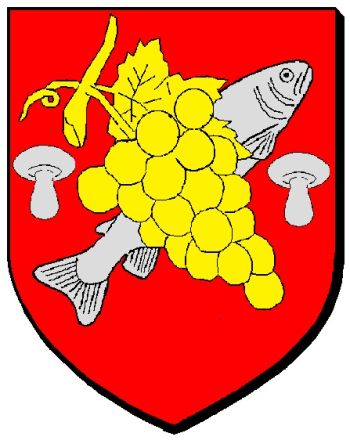 Blason de Noyers-sur-Cher/Arms (crest) of Noyers-sur-Cher