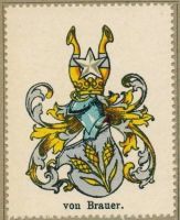 Wappen von Brauer