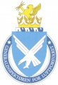 Inspectorgeneralairforce.jpg