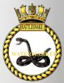 HMS Rattlesnake, Royal Navy.jpg