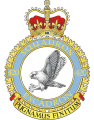 No 420 Squadron, Royal Canadian Air Force.png