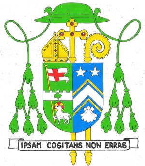 Arms of James Johnston Navagh