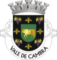 Valecamb.png