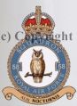 No 58 Squadron, Royal Air Force.jpg