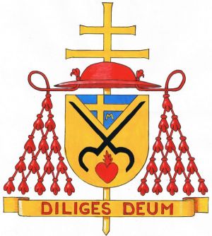 Arms of Gustaaf Joos
