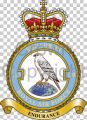 No 120 Squadron, Royal Air Force.jpg